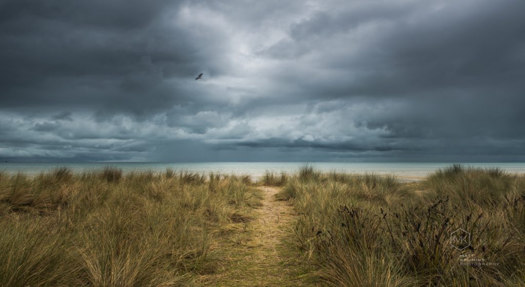The rugged coastline