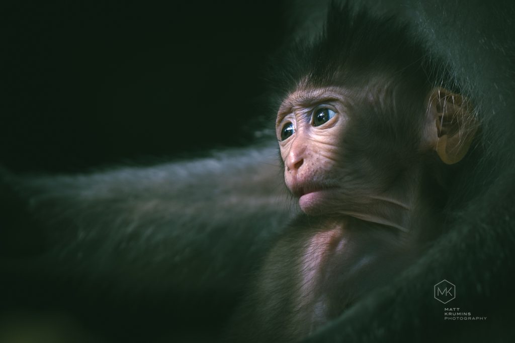 MattKrumins_Bali2023_101615_230603.jpg