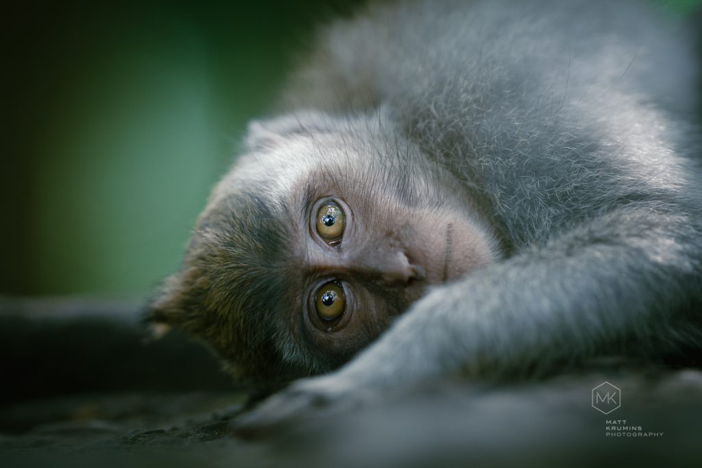 MattKrumins_Bali2023_101800_230603.jpg