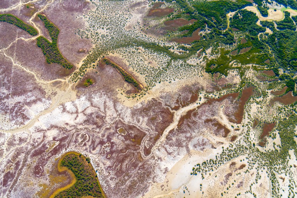 MattKrumins_Broome_103829_220727.jpg