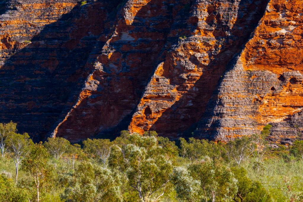 MattKrumins_BungleBungles_106708_220820.jpg