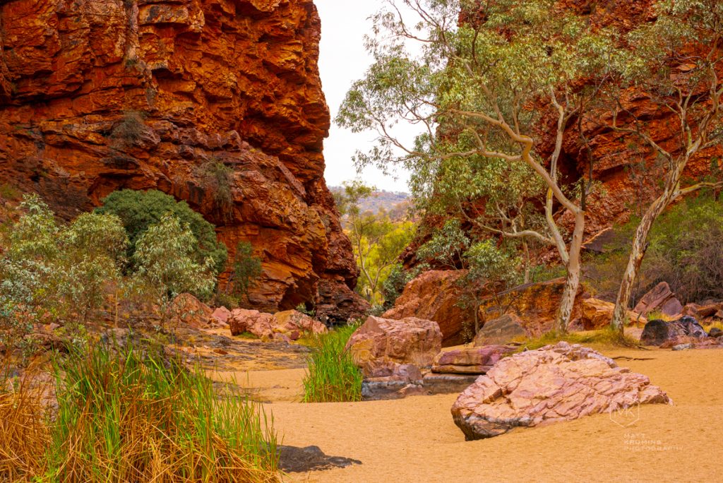 MattKrumins_CentralAus_2350_171008.jpg