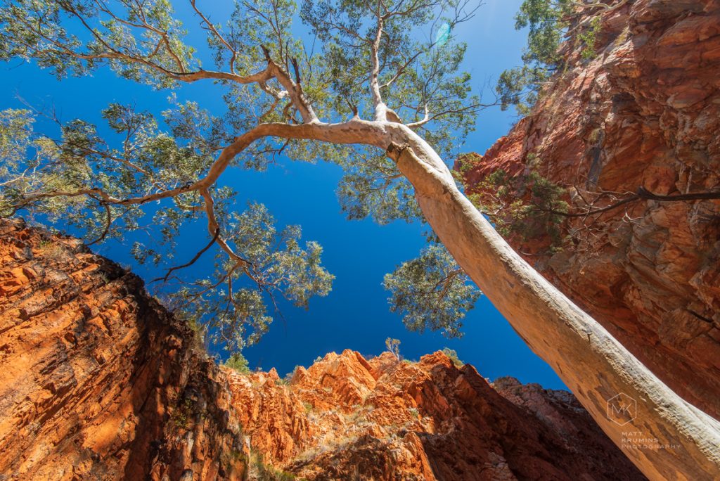 MattKrumins_CentralAus_7155_171021.jpg