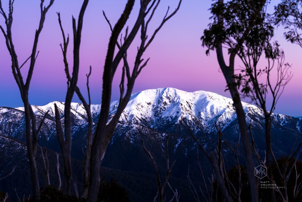 MattKrumins_HothamBogong_102286_230802.jpg