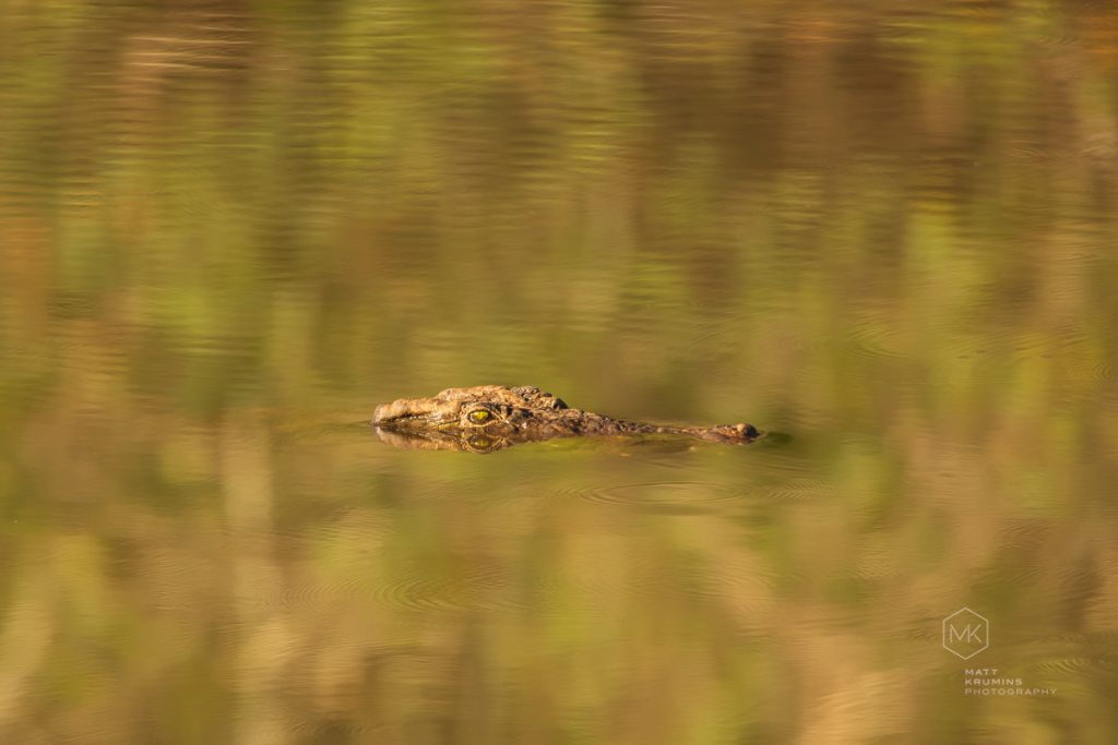 MattKrumins_SouthAfrica_5588_190720.jpg