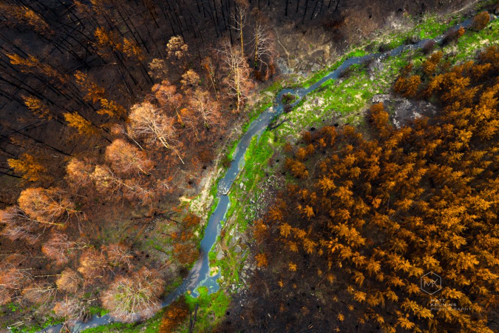 MattKrumins_VicFires__260303-8.jpg