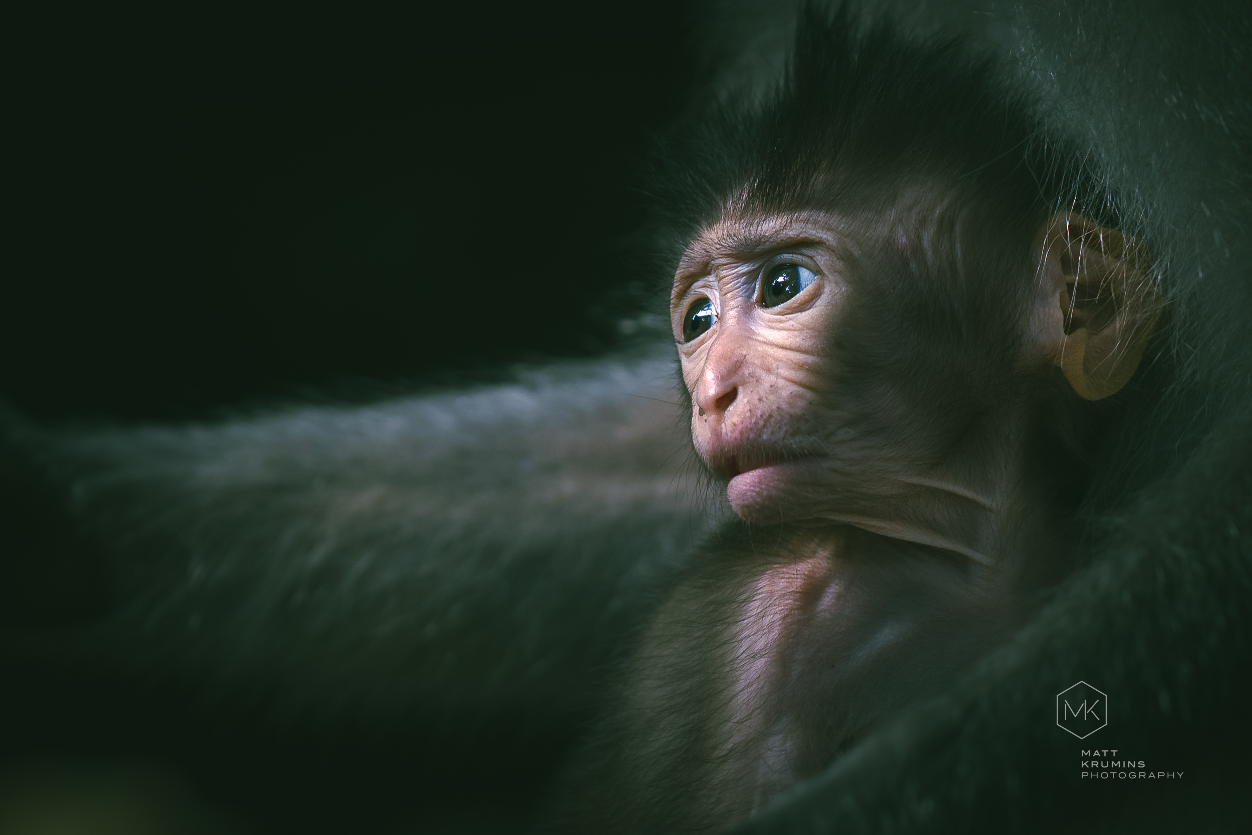 MattKrumins_Bali2023_101615_230603