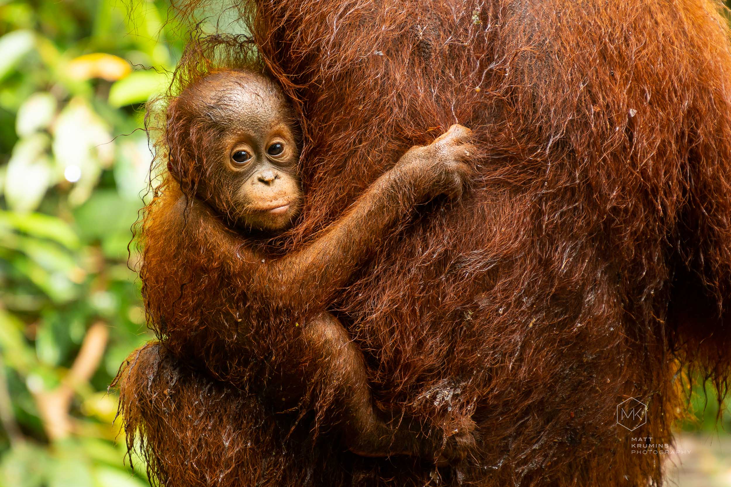 MattKrumins_Indonesia_180429_180429-495