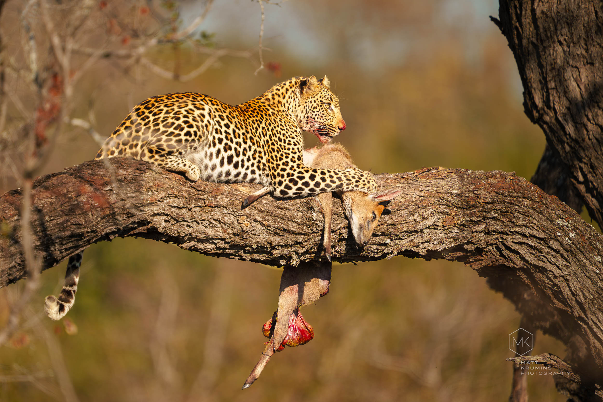 MattKrumins_SouthAfrica-02833_260803
