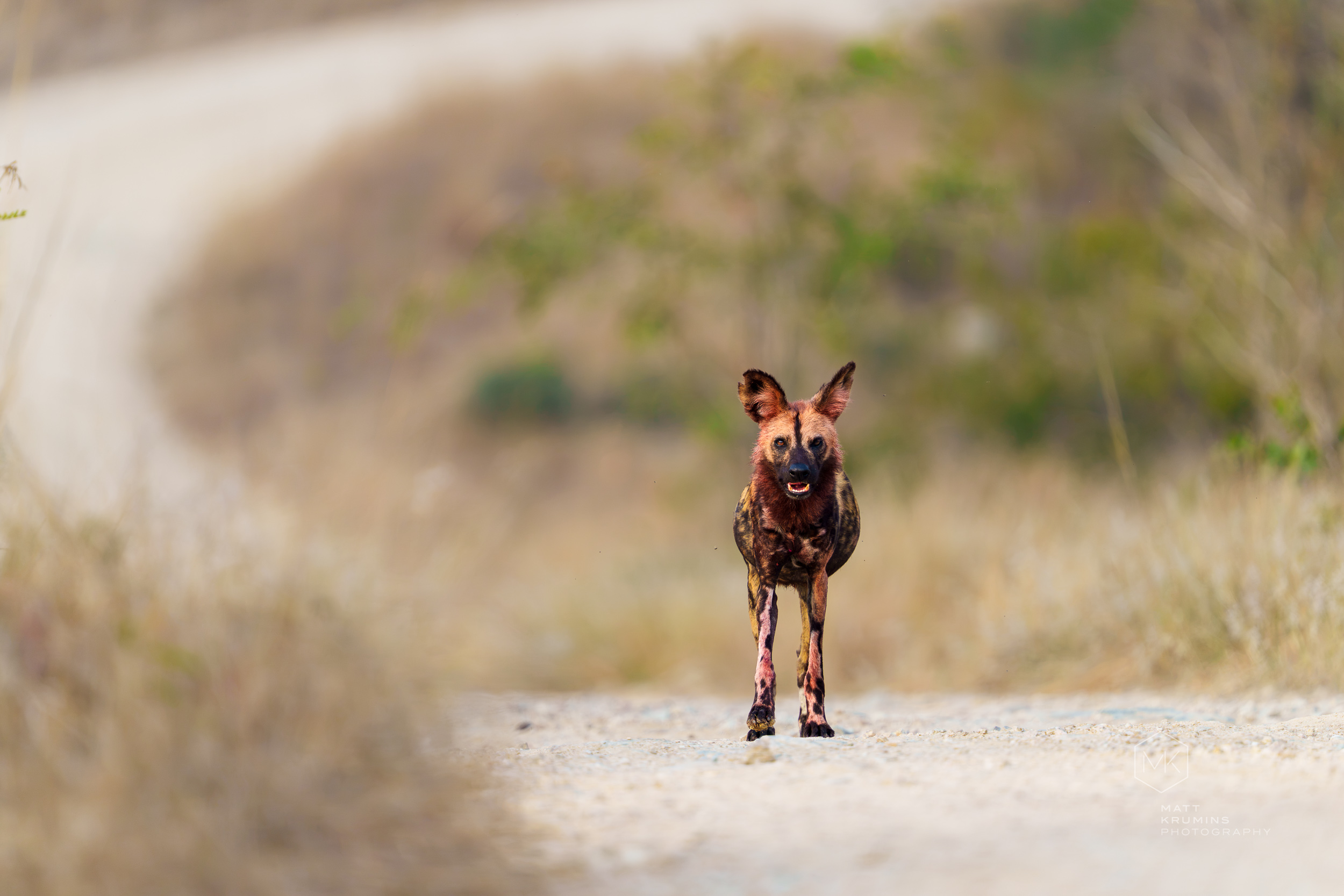 MattKrumins_SouthAfrica-05206_260807