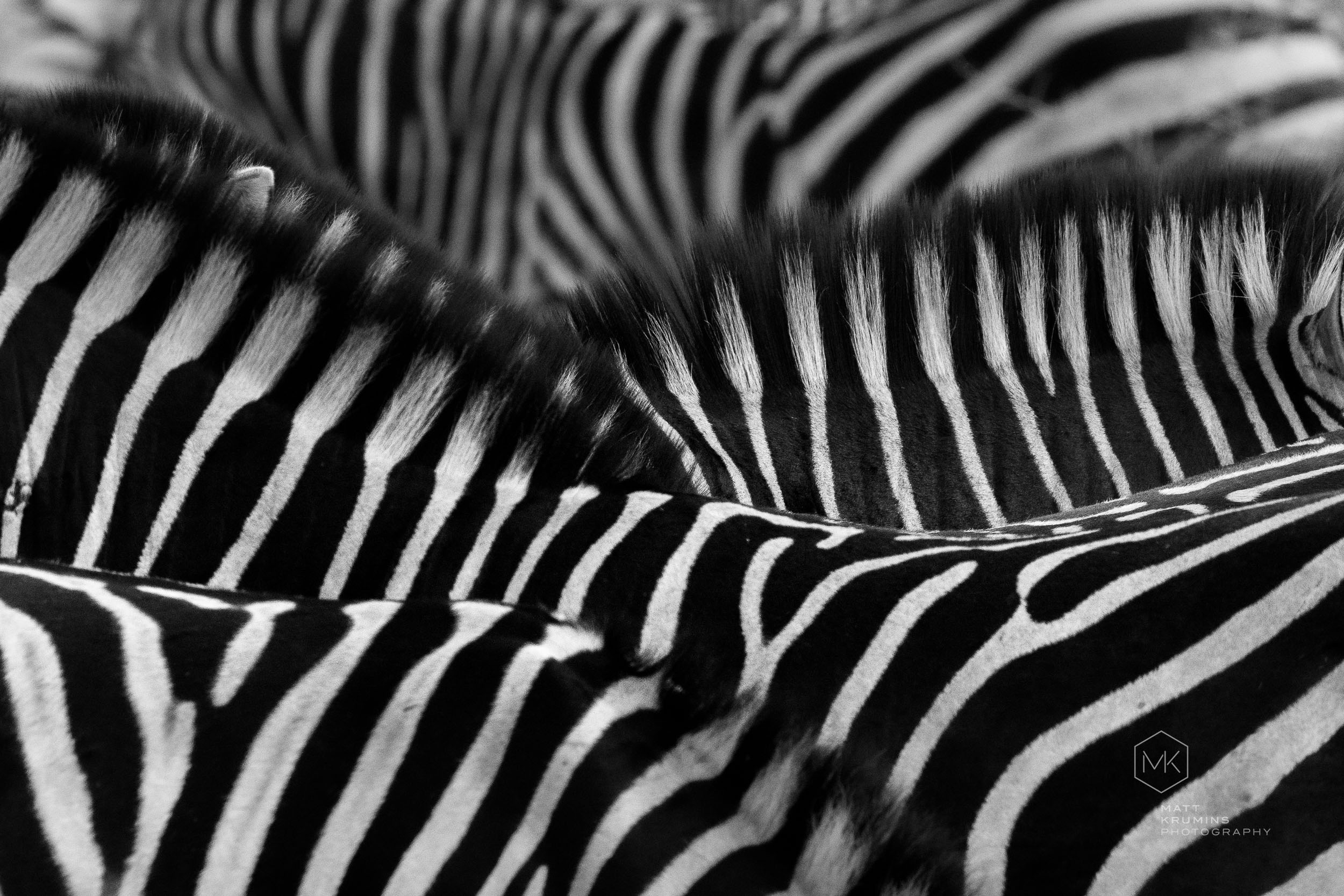 MattKrumins_SouthAfrica-06789_260808