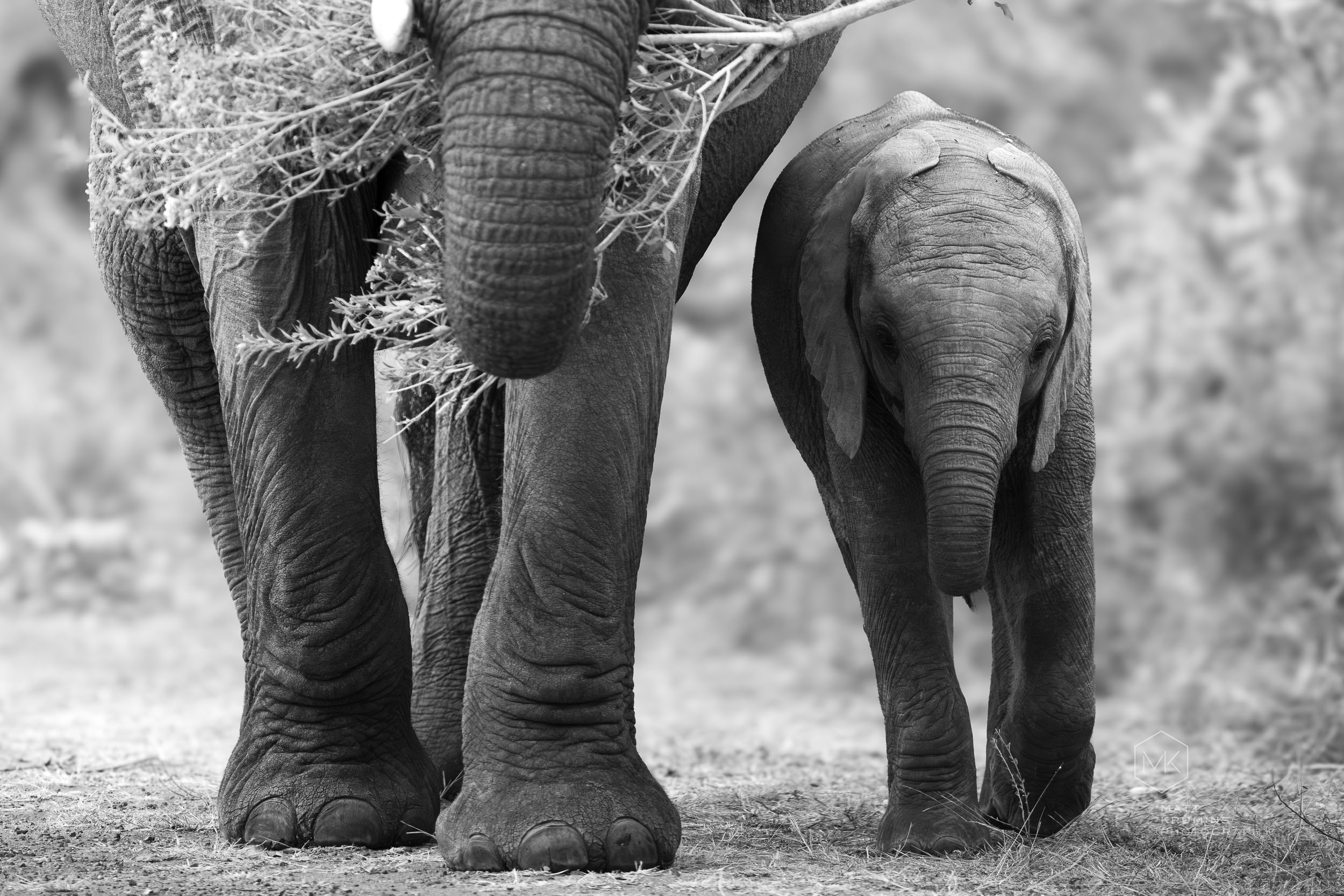 MattKrumins_SouthAfrica-07807_260810