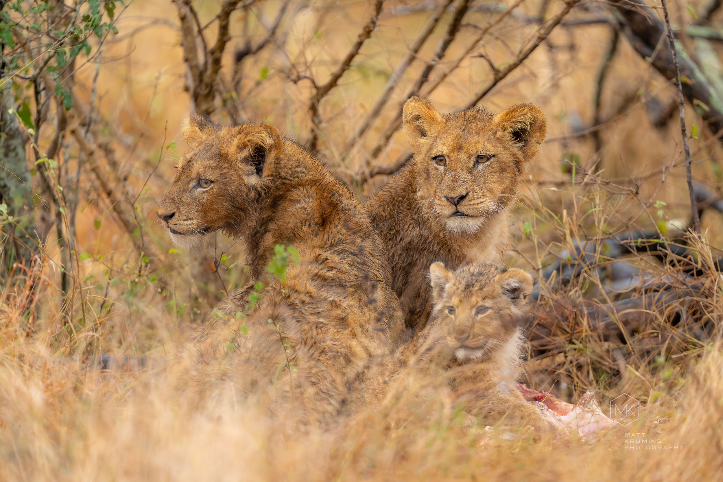 MattKrumins_SouthAfrica-08506_260811