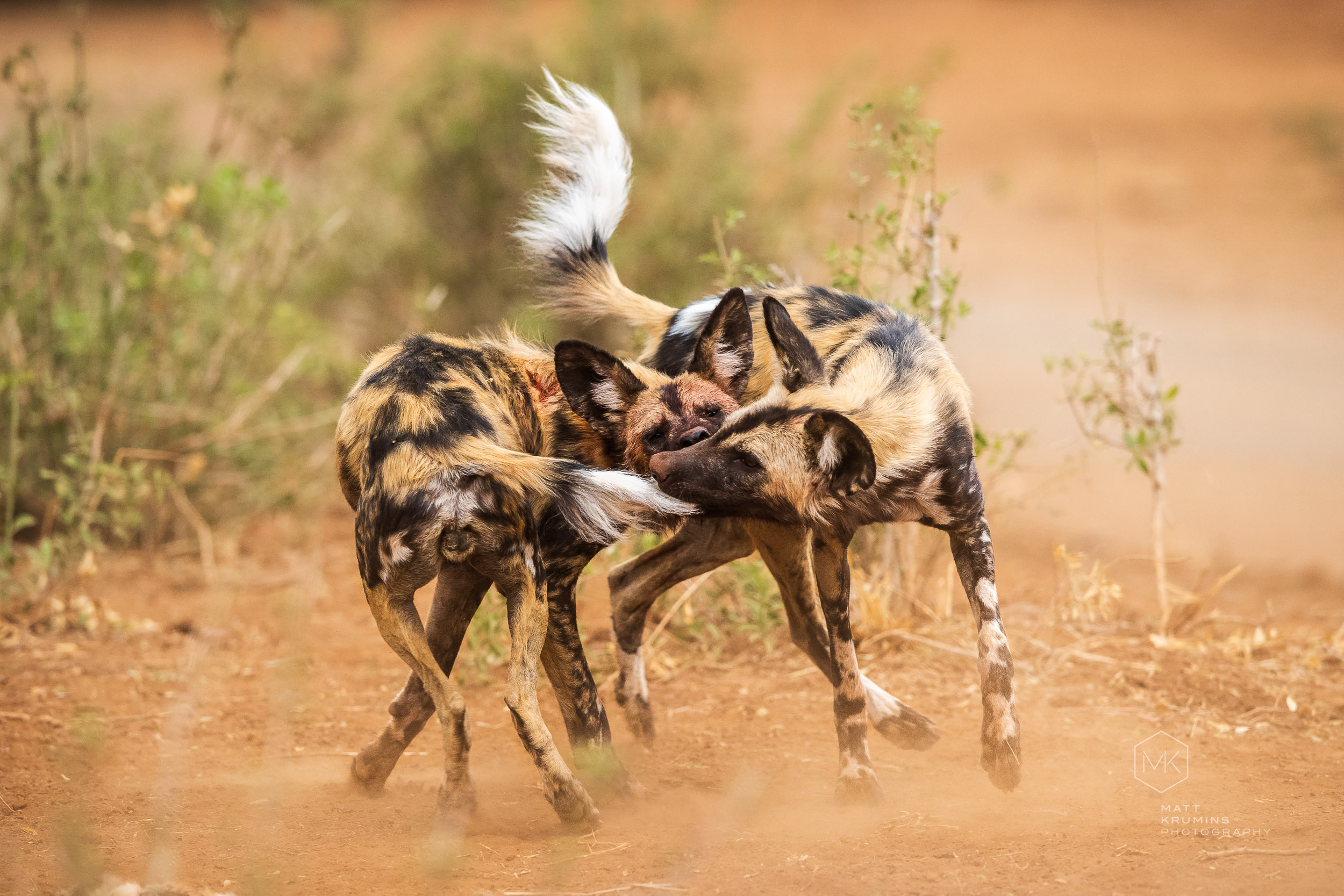 MattKrumins_SouthAfrica_6130_190721