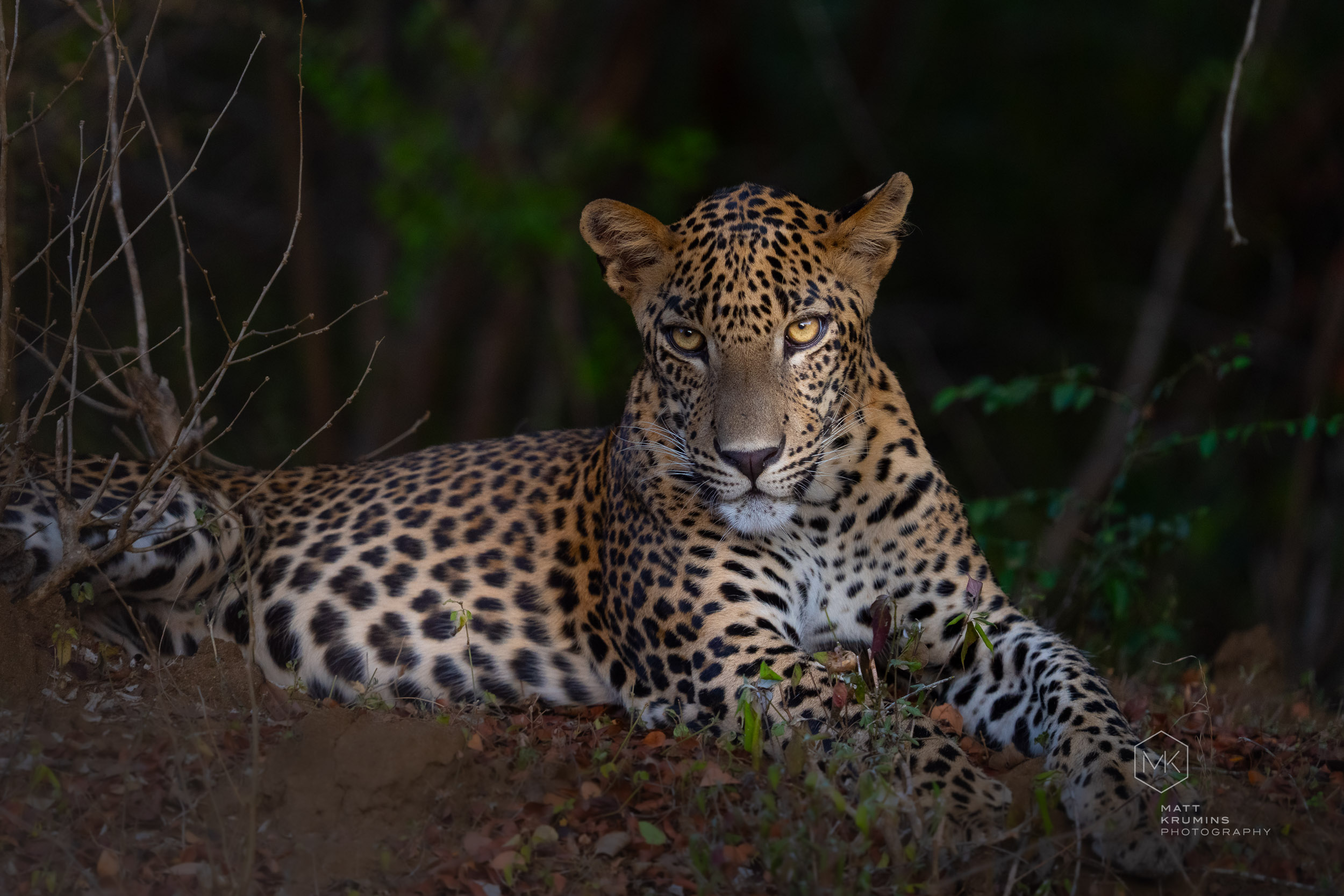 MattKrumins_SriLanka_2697_260701